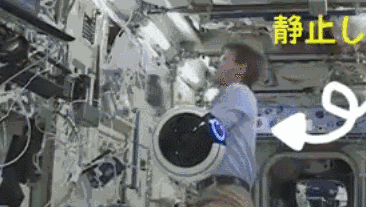 国际空间站的新成员:一个超治愈的太空大眼萌!