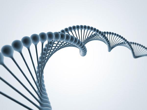 科学家打算人工合成整个人类基因组