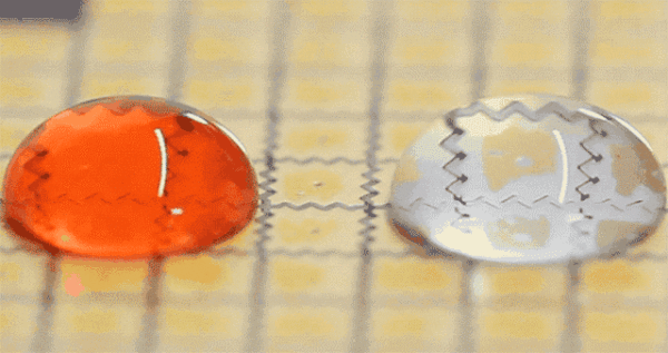 这里面用到了表面张力,分子引力和分子运动的知识.